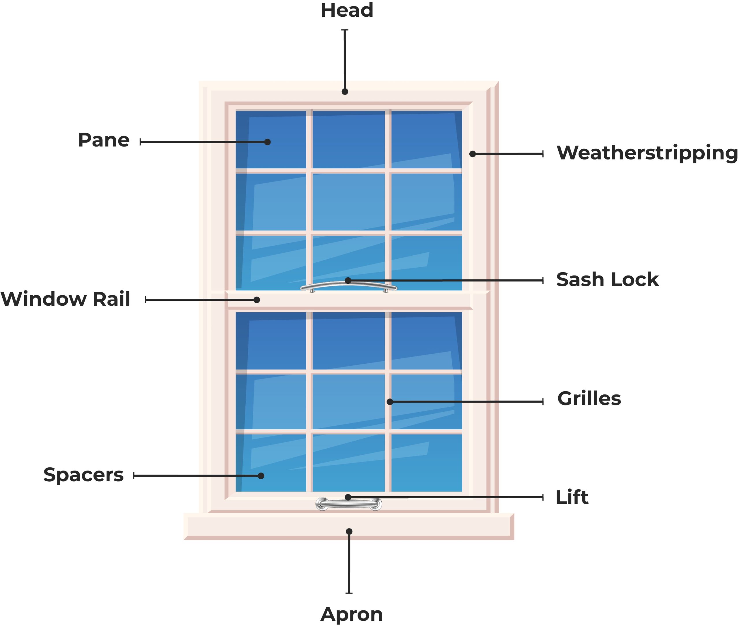 Labeled illustration with different parts of a window
